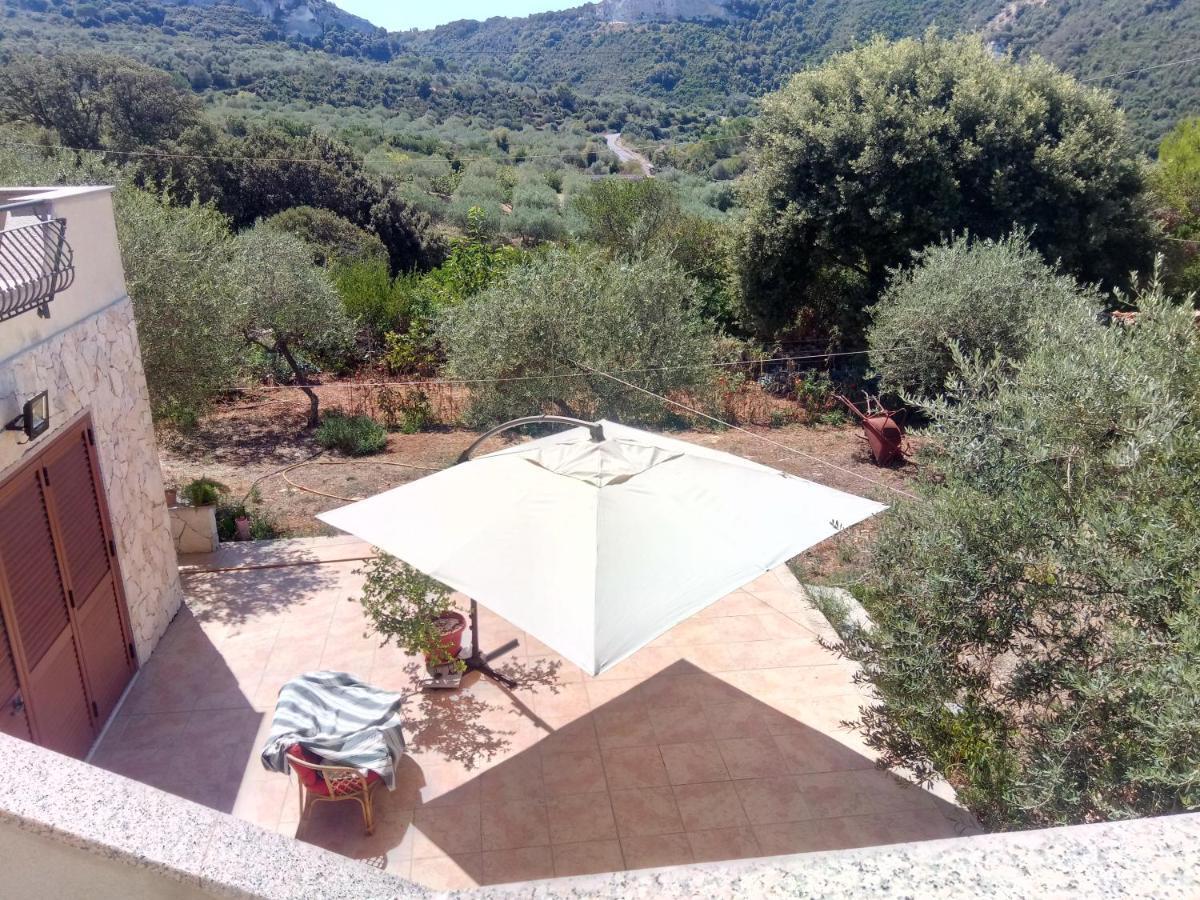 Residence Degli Ulivi Ossi Экстерьер фото